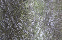 Horringer fibreglass roof work